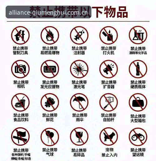 球盟会官方应用下载的5个关键步骤与安全指南